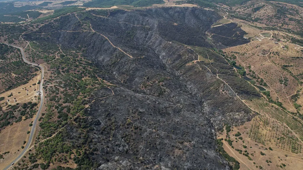 Manisa’daki orman yangınında yanan alanlar dronla görüntülendi