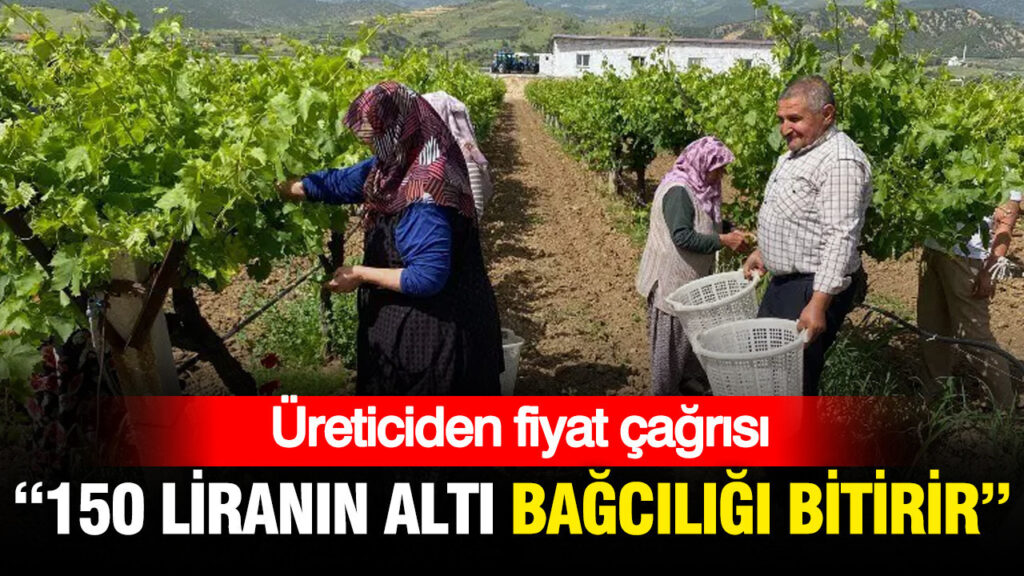 Üreticiden fiyat çağrısı: “150 liranın altı bağcılığı bitirir”